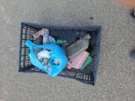 /images/about-meissa/03plastik-aktion/plastic-findings/2025_06_25.jpg